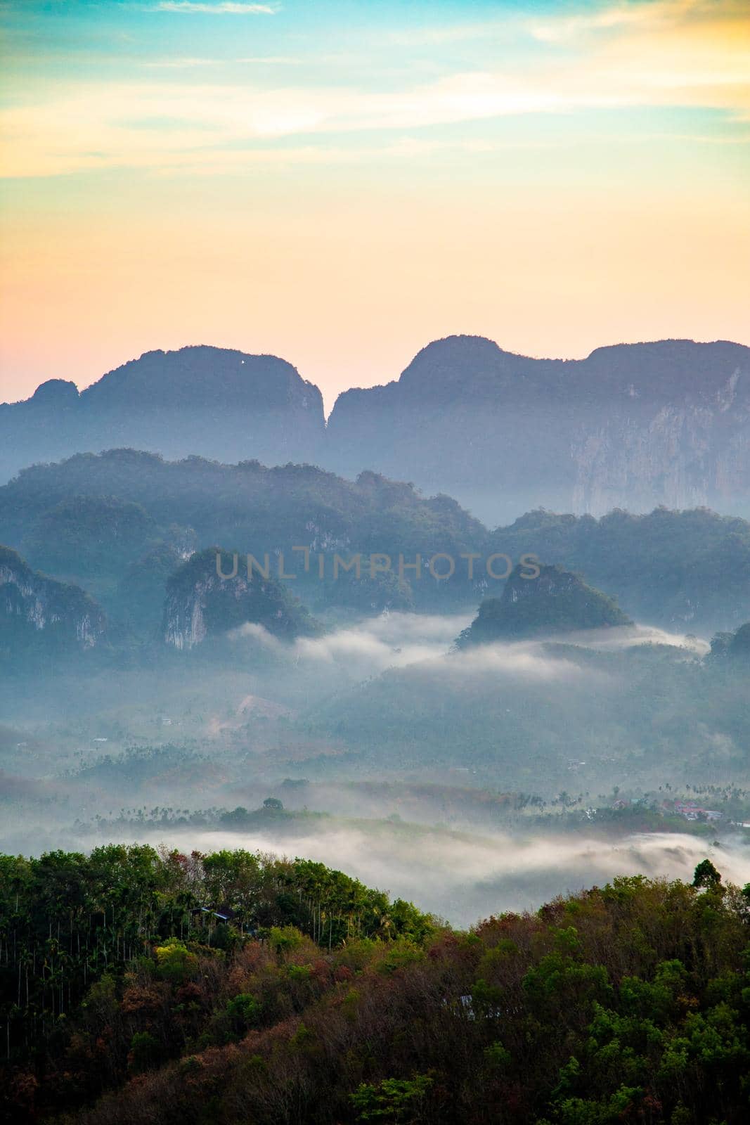Rice terraces near Doi Tapang viewpoint in Chumphon, Thailand by worldpitou
