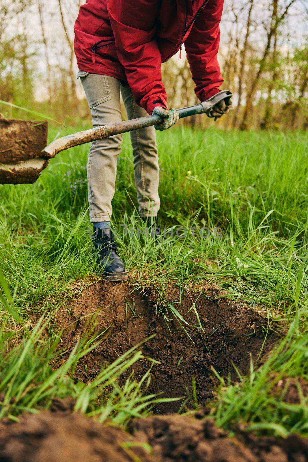 gardening, agriculture and people concept - unrecognizable woman with a shovel digs the ground for planting a tree on a farm on a sunny day. High quality photo