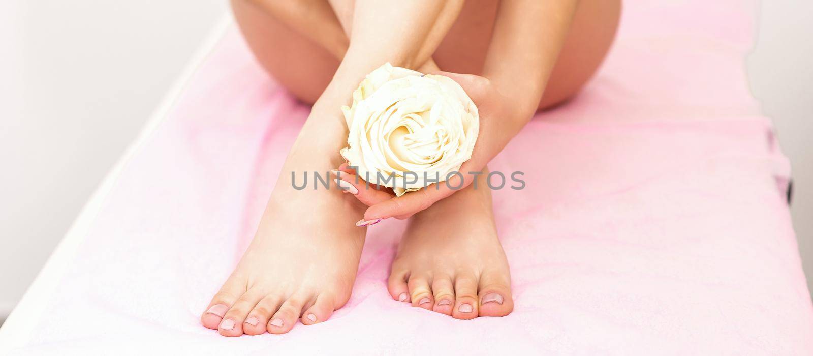 Female legs with a white rose in female hands sitting on a couch in a beauty spa