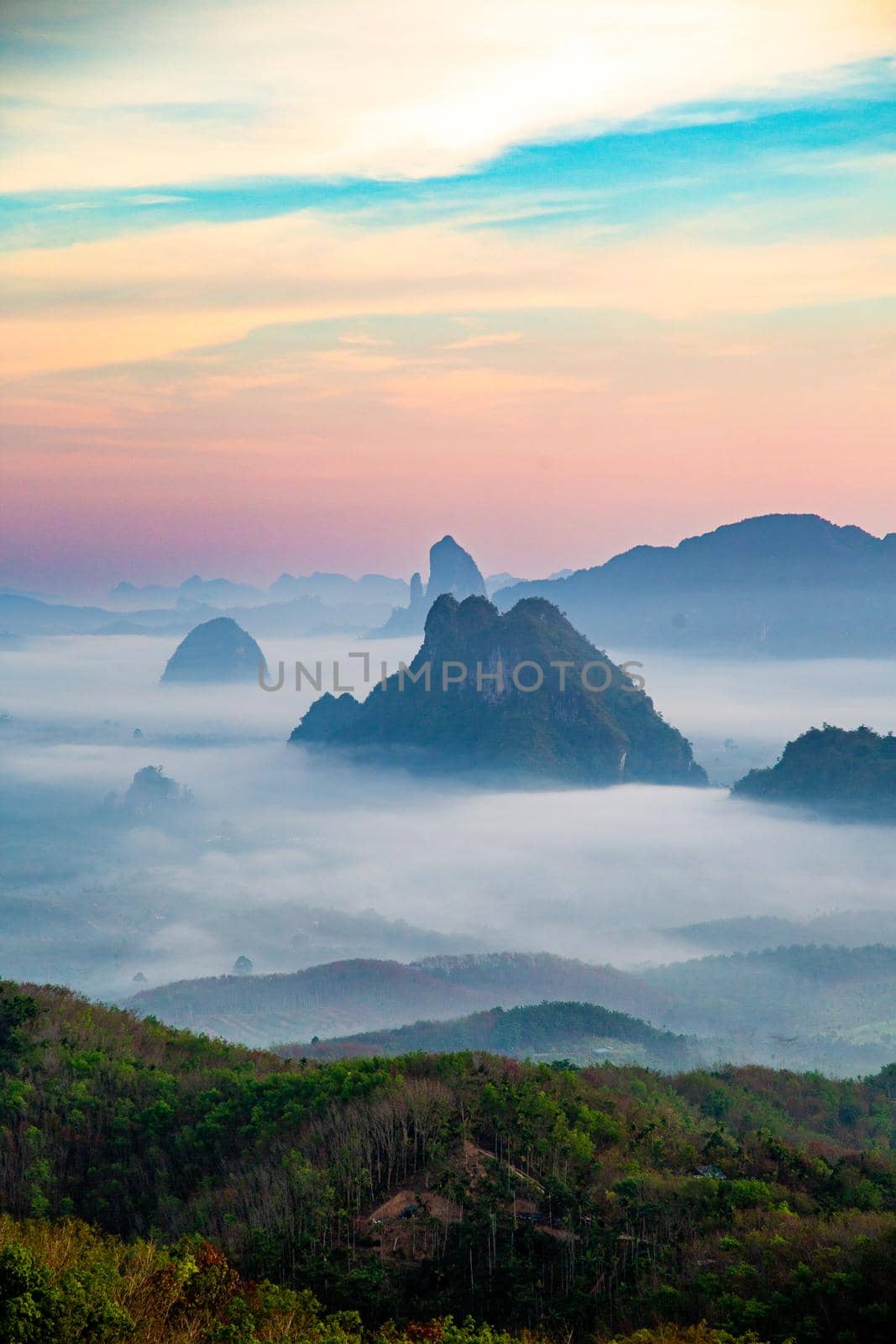 Rice terraces near Doi Tapang in Chumphon, Thailand