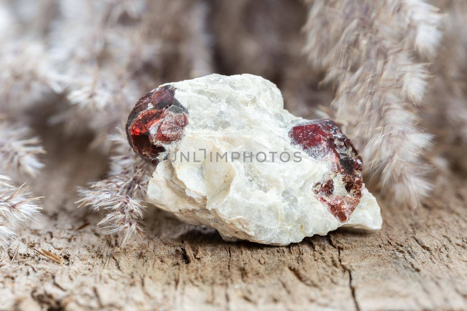 Natural rough red pyrope garnet gem stone embedded on rock. Natural crystal mineral on natural background with copy space. Unpolished gemstone