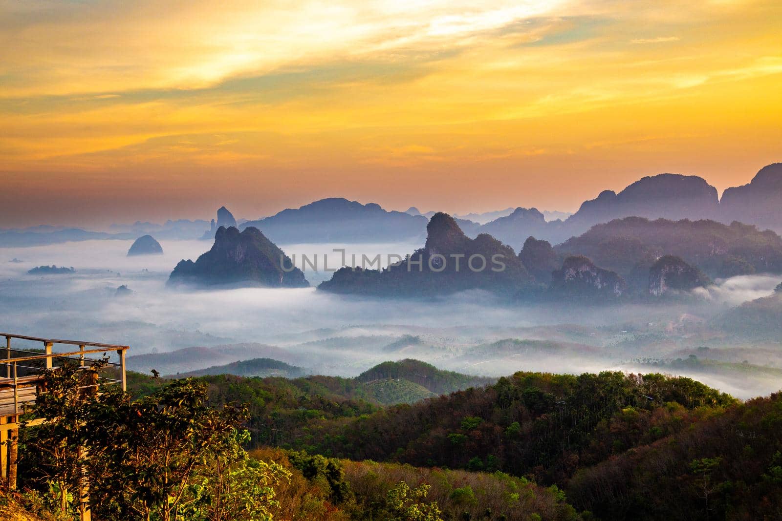 Rice terraces near Doi Tapang in Chumphon, Thailand