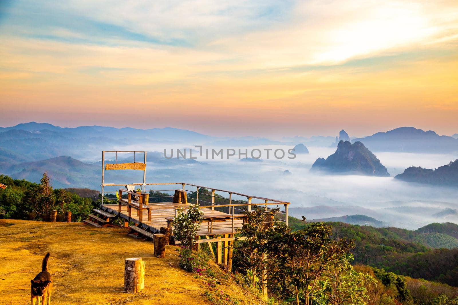 Rice terraces near Doi Tapang viewpoint in Chumphon, Thailand by worldpitou