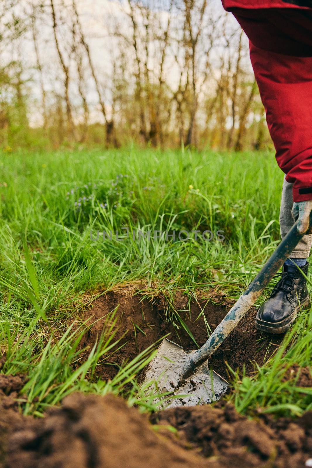 a woman digs the ground with a shovel for planting a plant in the country. High quality photo