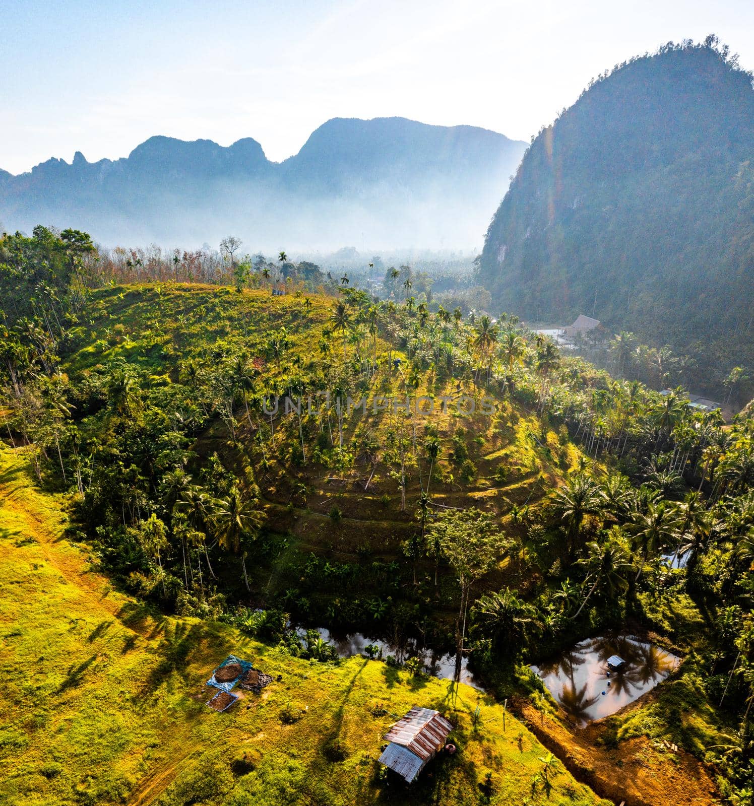 Rice terraces near Doi Tapang in Chumphon, Thailand