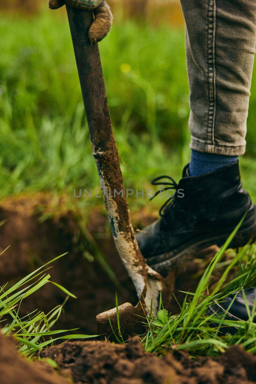 a woman digs the ground with a shovel for planting a plant in the country. High quality photo