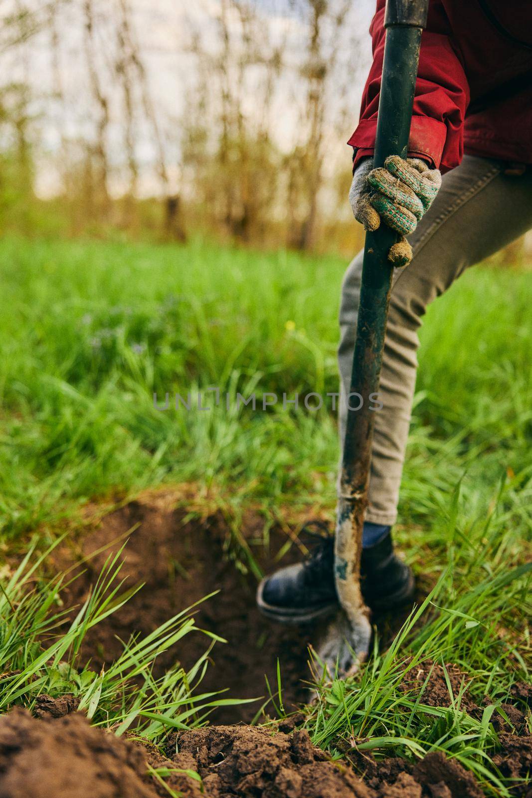 gardening, agriculture and people concept - unrecognizable woman with a shovel digs the ground for planting a tree on a farm on a sunny day. High quality photo