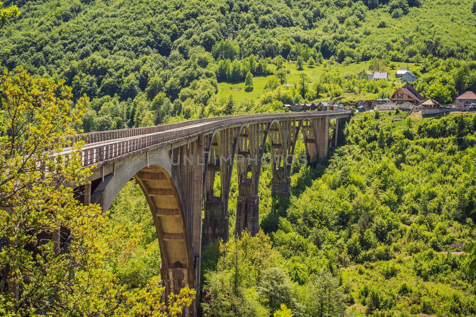 Montenegro. Dzhurdzhevich Bridge Over The River Tara.