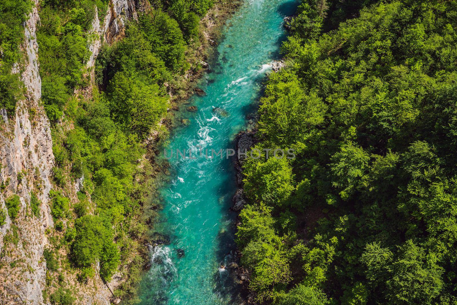 Montenegro natural landscape, mountain river Tara by galitskaya