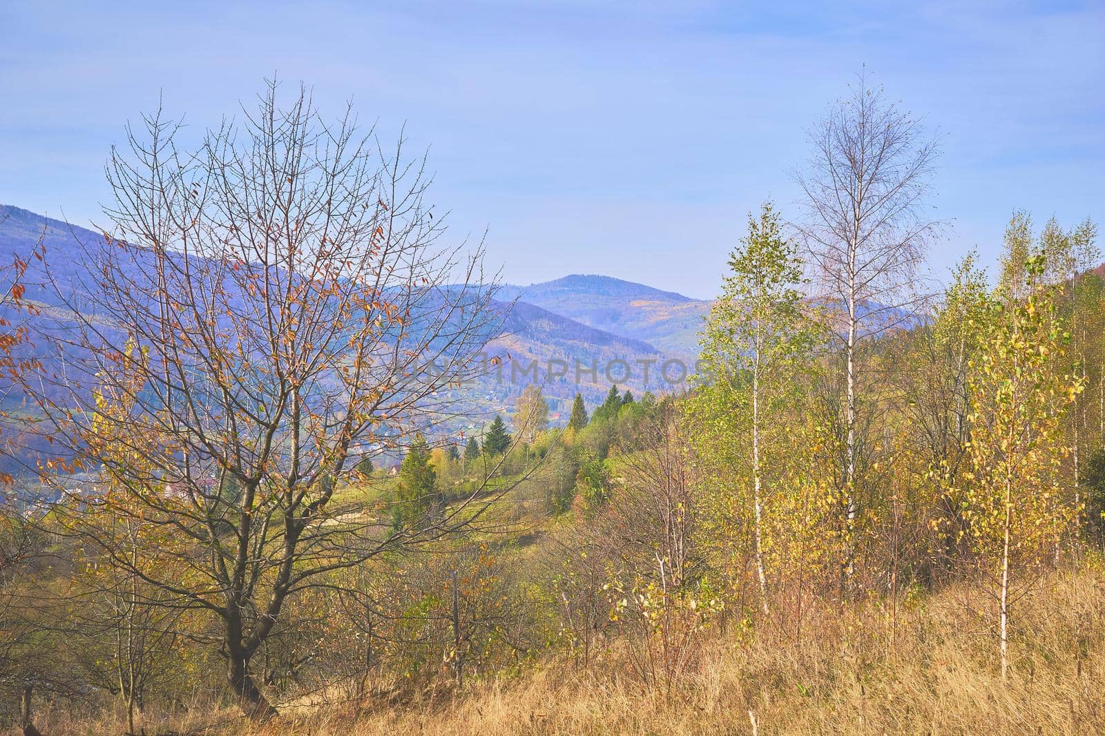 Mountain range in blue haze and autumn warm colors by jovani68