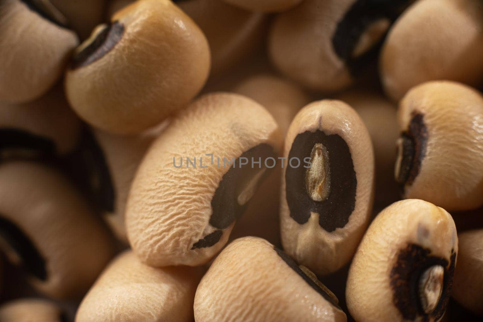 Beans black eyes very large. A background of beans. Ancient grain food. Beans bean black eyes bunch on a white background isolate. Gluten-free foods. Healthy eating. White cow peas beans on white. Ancient grain food