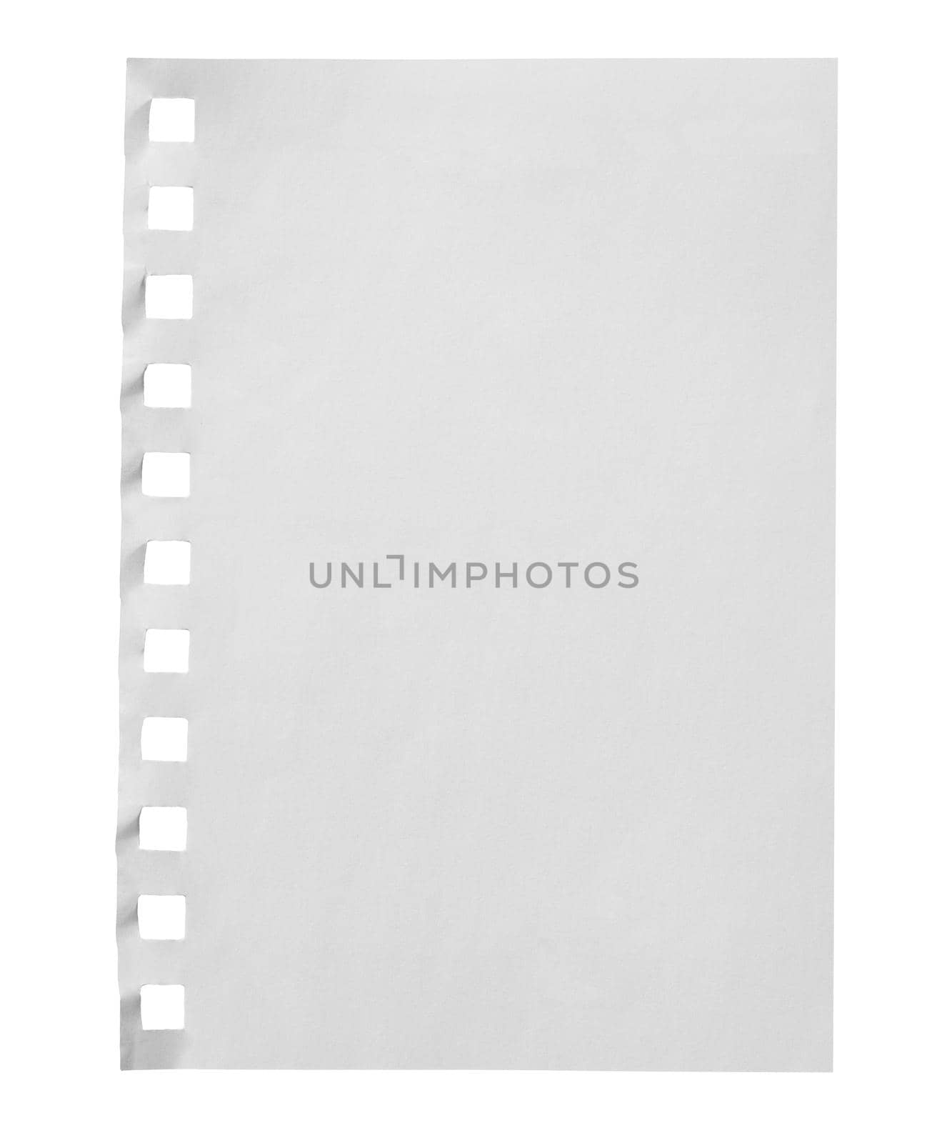 collection of white ripped pieces of paper on white background. each one is shot separately