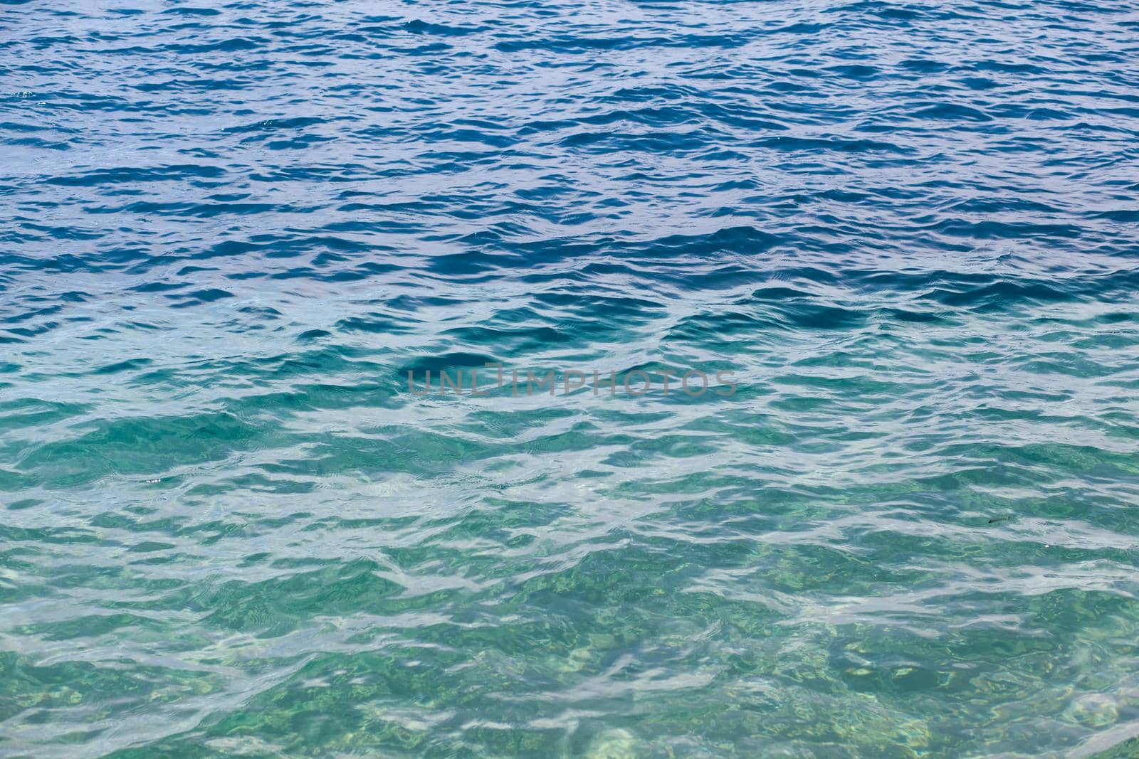 Seascape of clear water on the sea. Clear water on the ocean, sea by AnatoliiFoto