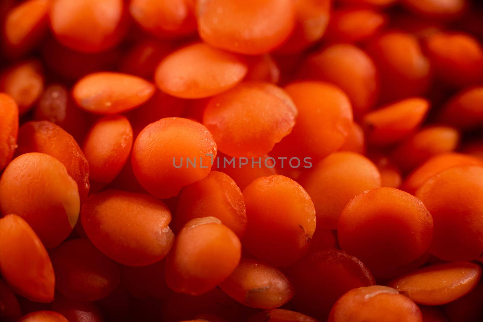 Dry red lentils very close. Red lentil grits. Dried orange lentil grains, pile of daal, raw daal, dhal, masur, Lens culinaris or Lens esculenta. by gulyaevstudio