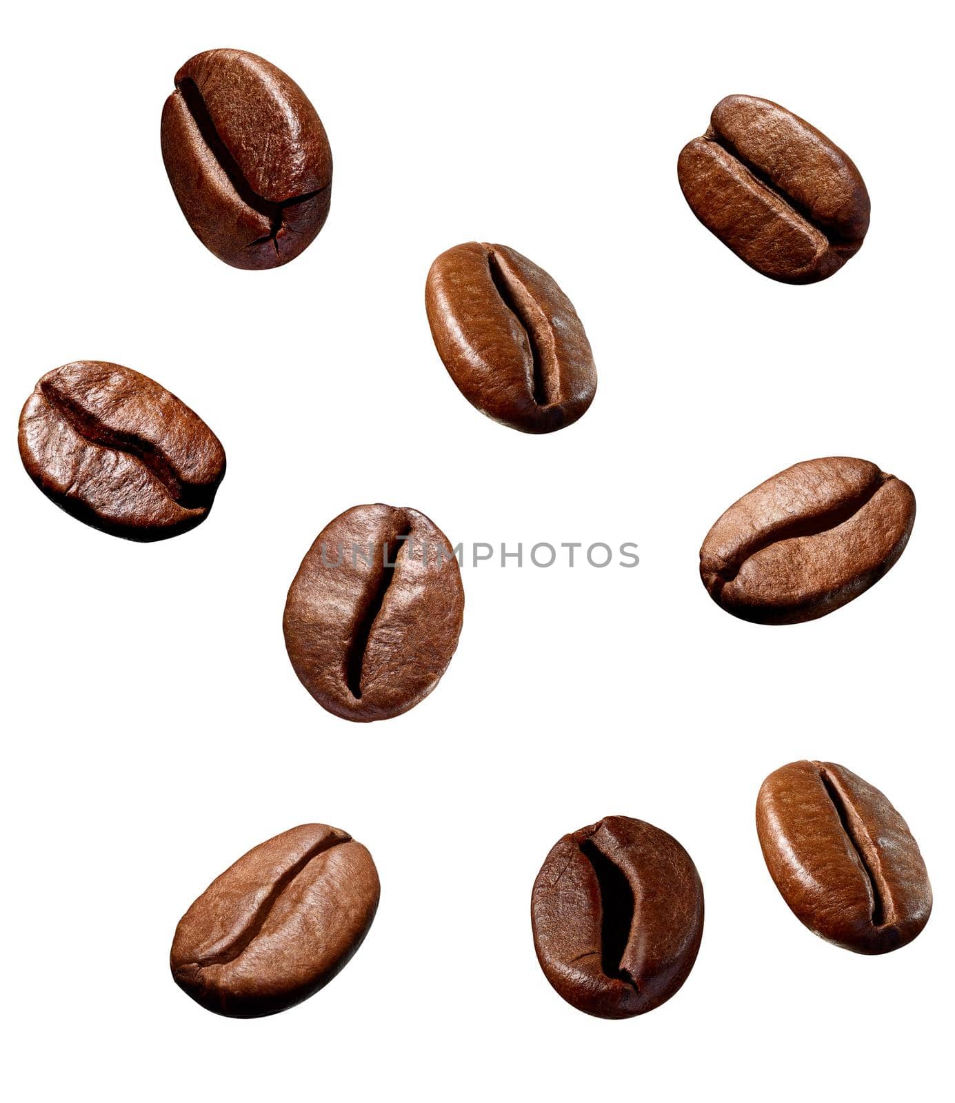 collection of various coffee bean on white background