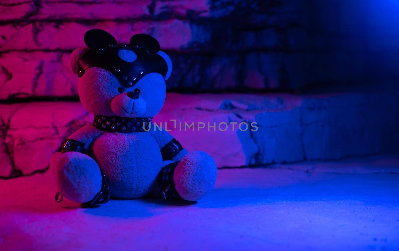 bdsm accessories on a teddy bear in neon light among the rocks background by Rotozey