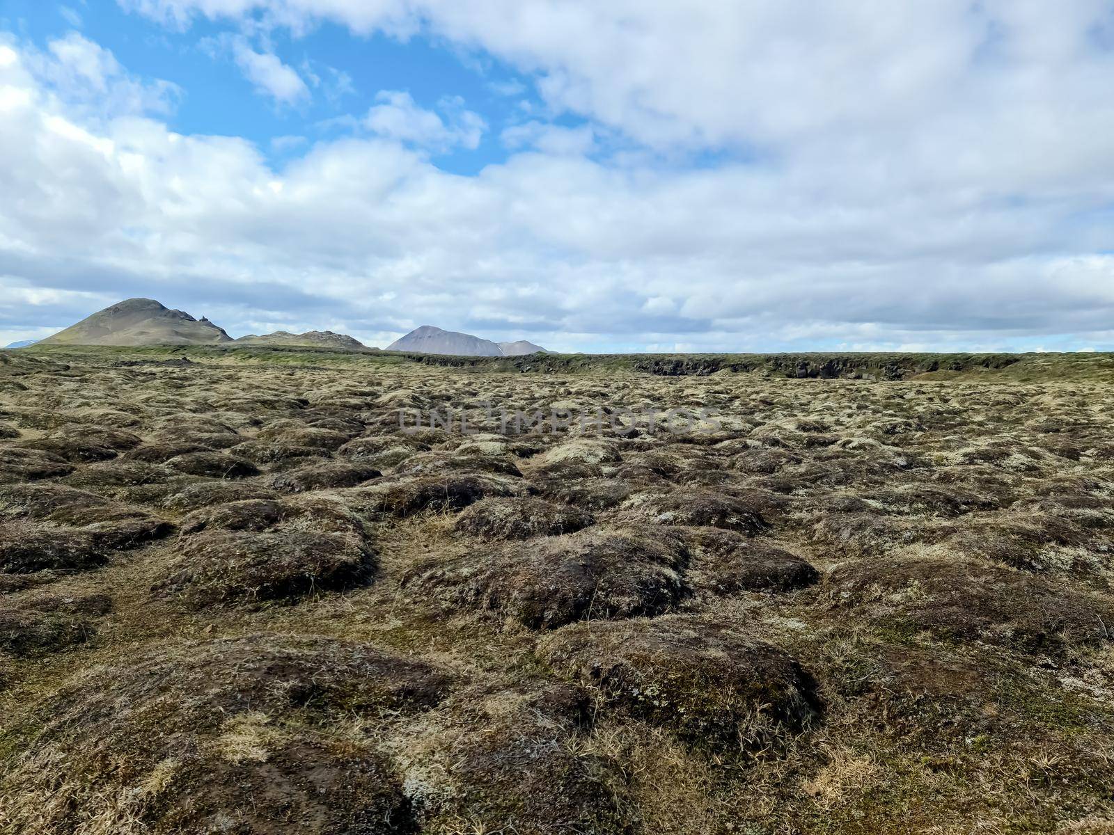 View of a dry landscape on Iceland - Myvatn with rocks and mountains