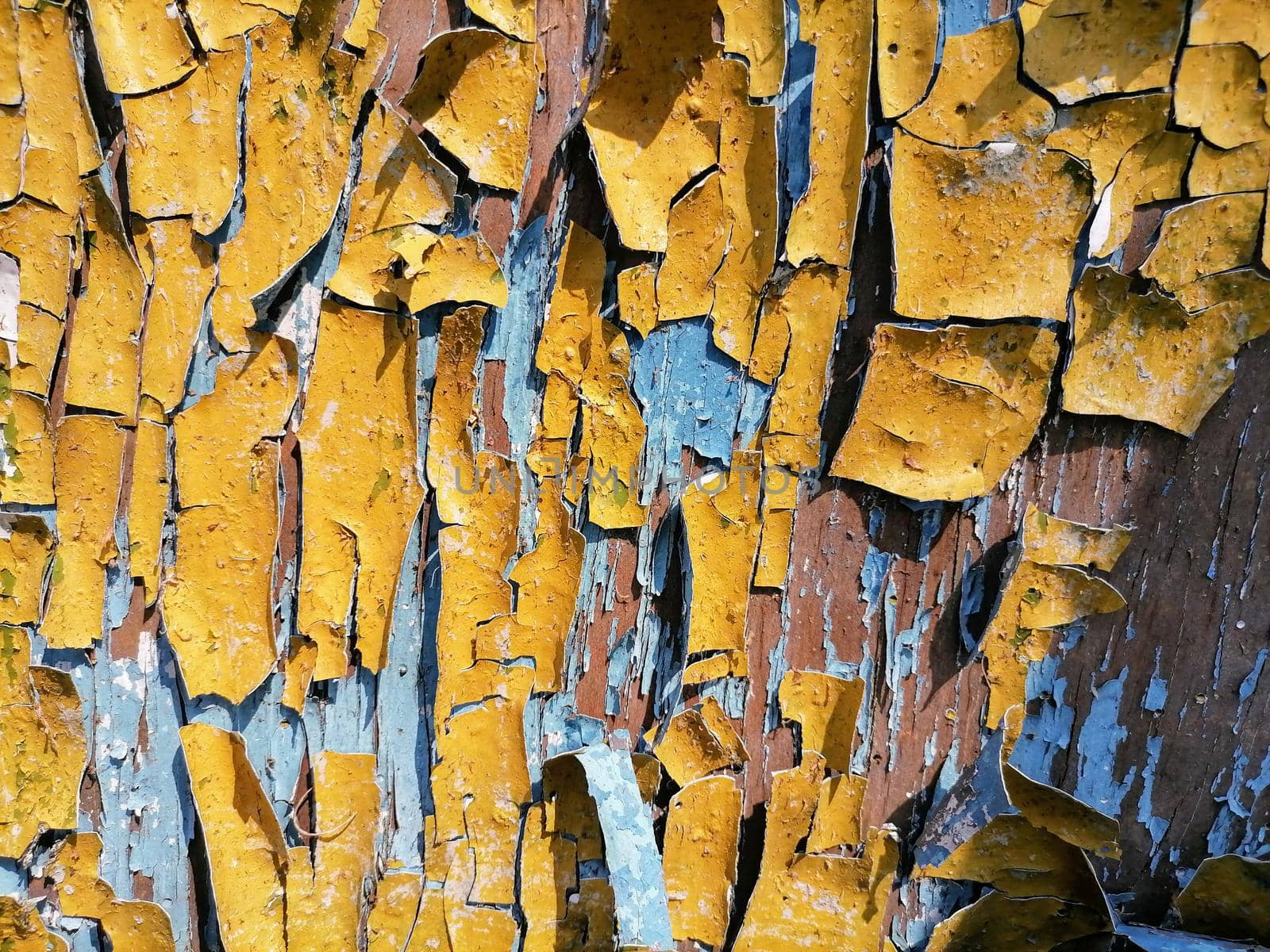 Abstration of the flag of Ukraine on a wall with a crack. A crisis. Dirty old yellow and blue wood background. Texture of wood use as natural background. Flag of Ukraine. High quality photo