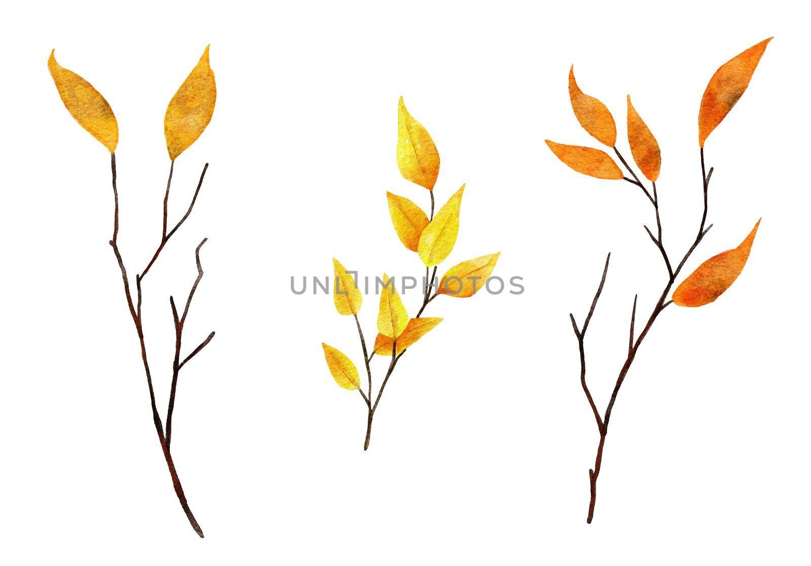 Watercolor hand drawn illustration of thin tree branches twigs with yellow orange leaves leaf. Autumn fall forest wood woodland natural elements, october november clipart. by Lagmar