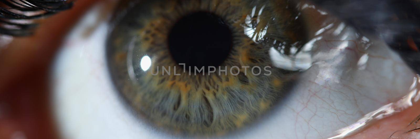 Close-up of beautiful green woman eye with mascara makeup product. Macro shot of human eye with poofy eyelashes. Ophthalmology, oculist, beauty concept