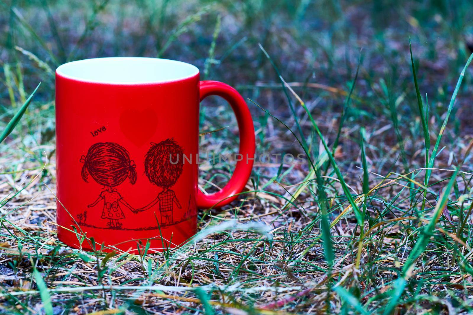 a small bowl-shaped container for drinking from, typically having a handle. Red ceramic cup with inscription love and funny couple on green grass in the park