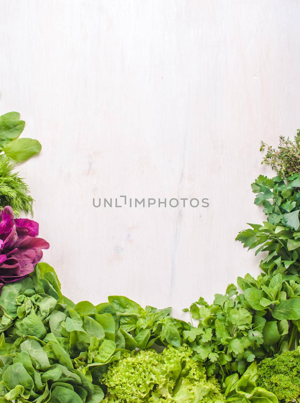 composition of fresh herbs in front of wooden background. High quality photo