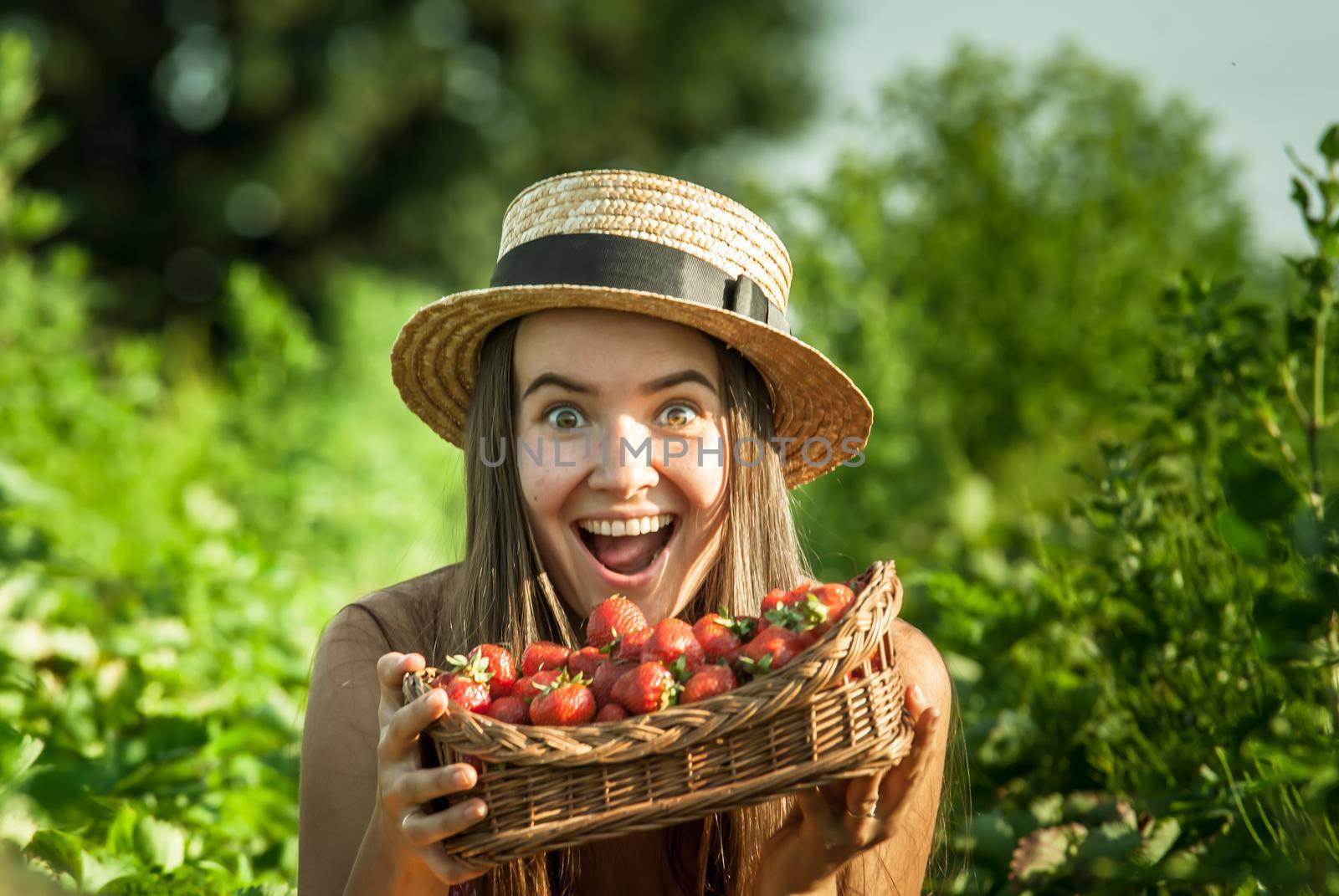 girl in strawberrry field with basket of fresh picked fruits