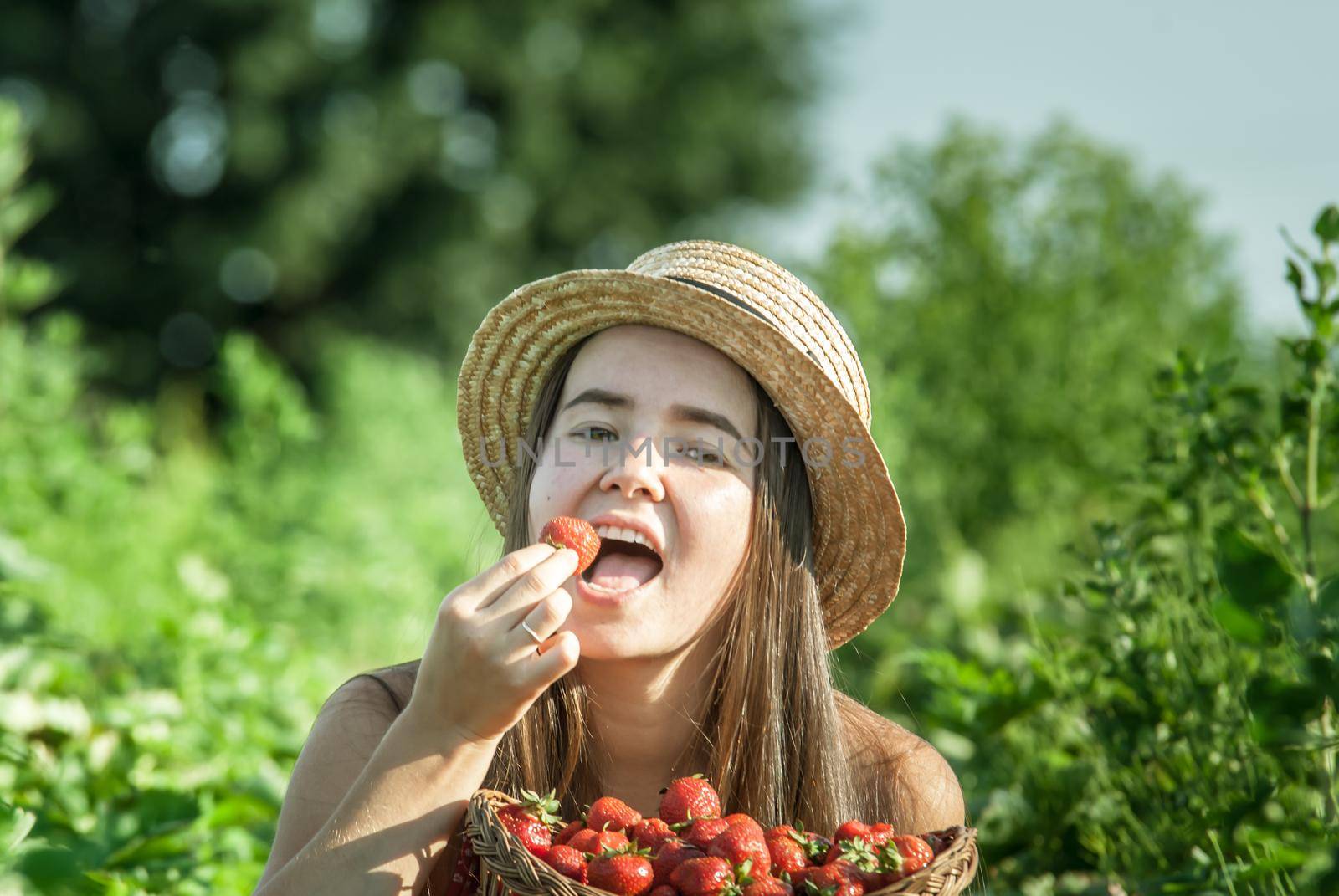 girl in strawberrry field with basket of fresh picked fruits