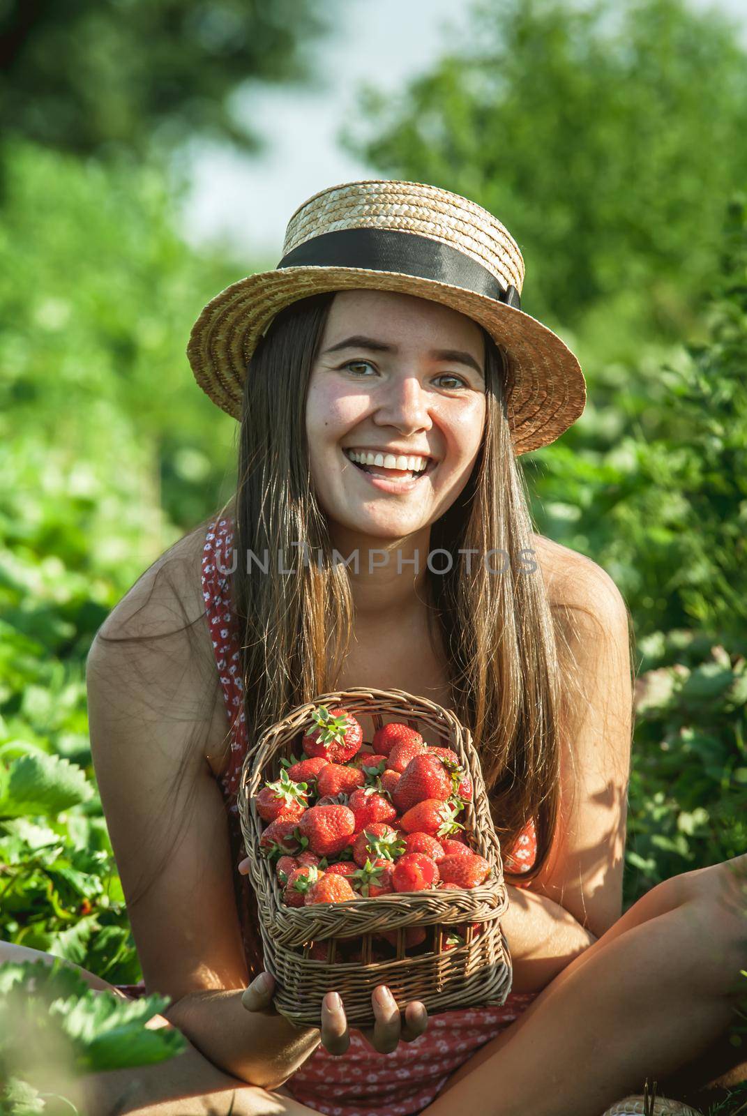 girl in strawberrry field with basket of fresh picked fruits