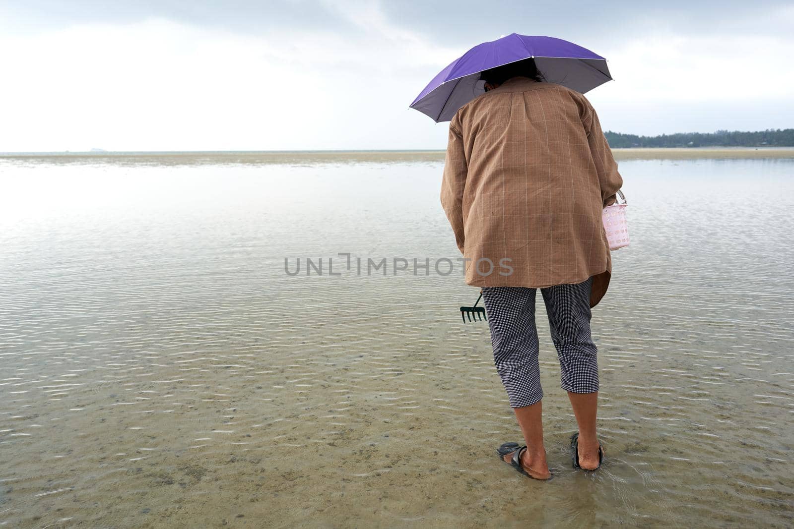 Ko Phangan, Thailand, March 15, 2022: woman with an umbrella collecting clams by WesternExoticStockers