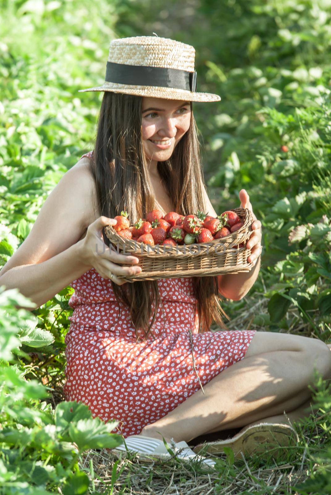 girl in strawberrry field with basket of fresh picked fruits