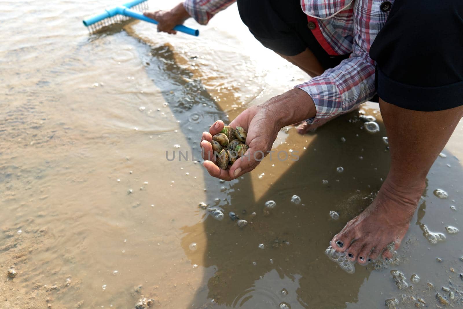 Ko Phangan, Thailand, March 15, 2022: aged woman holding clams on the sea by WesternExoticStockers