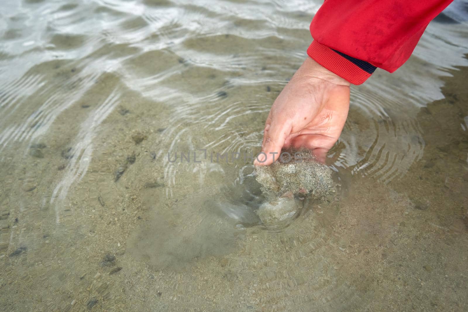 Ko Phangan, Thailand, March 15, 2022: person collecting alive clams from the sand to survive