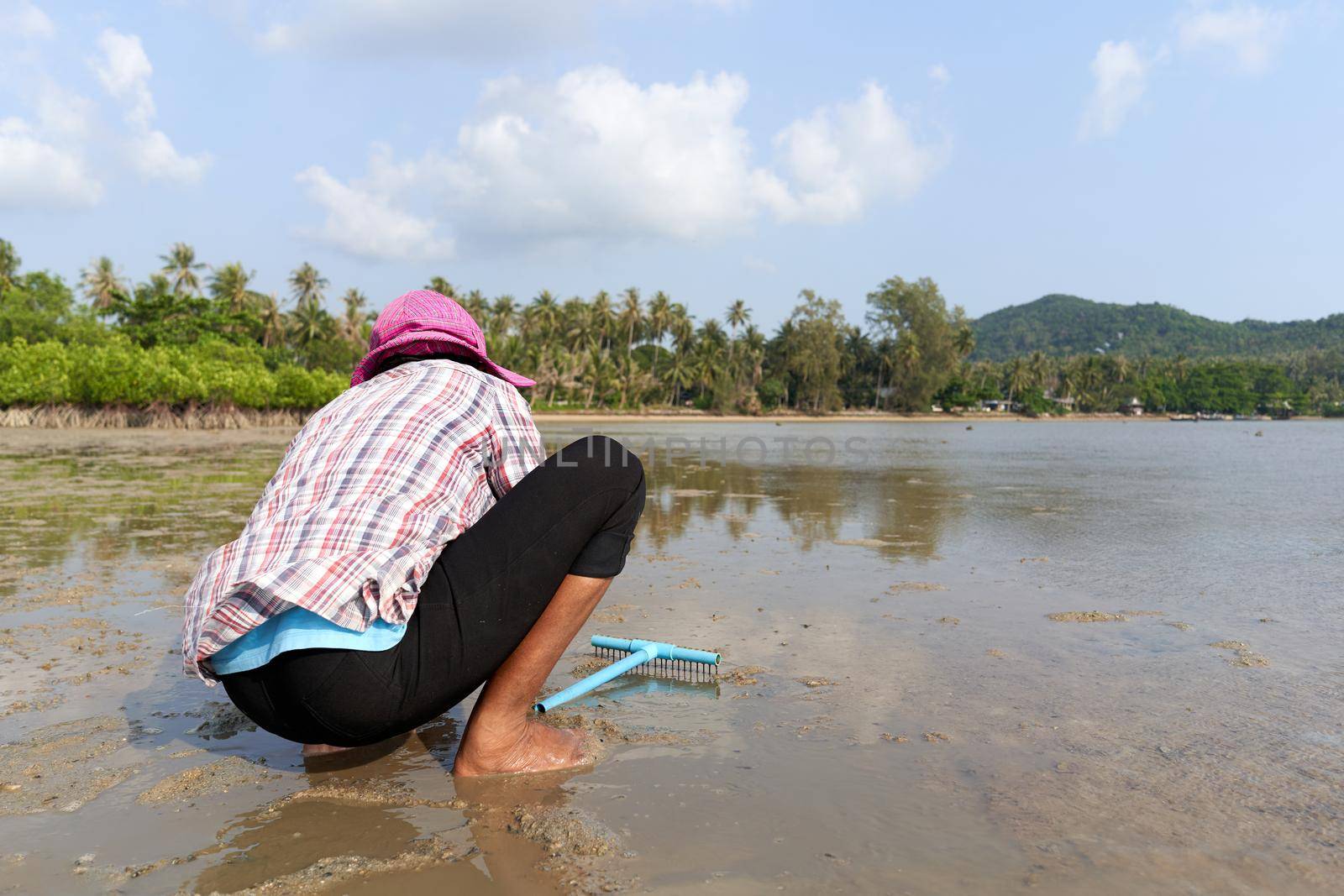 Ko Phangan, Thailand, March 15, 2022: by WesternExoticStockers