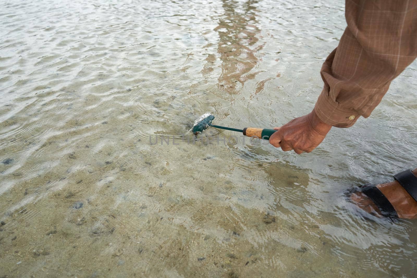 Ko Phangan, Thailand, March 15, 2022: woman removing the sand to collect clams by WesternExoticStockers