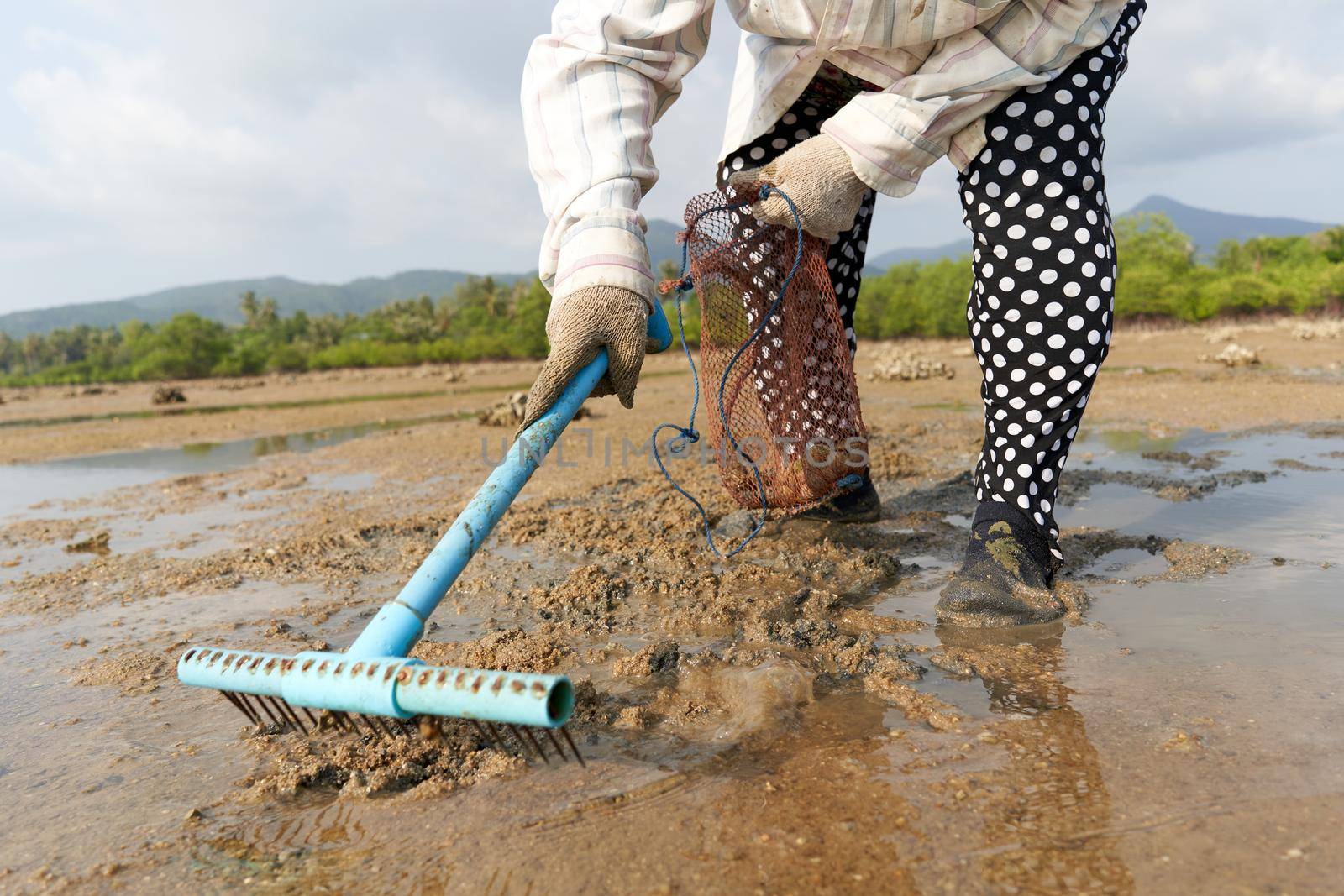 Ko Phangan, Thailand, March 15, 2022: person using a rake to collect clams by WesternExoticStockers