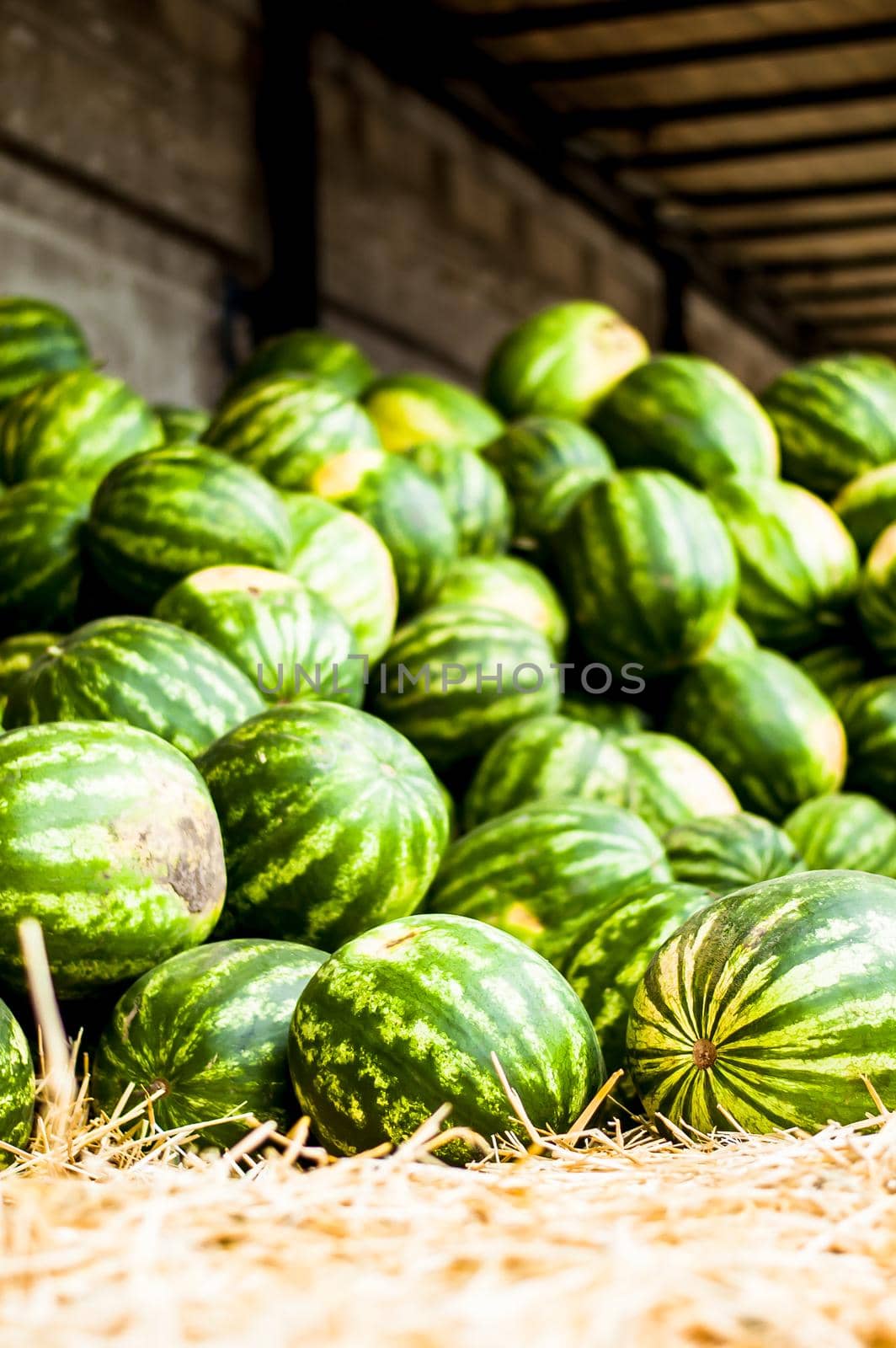 many sweet ripe watermelons on the market. High quality photo