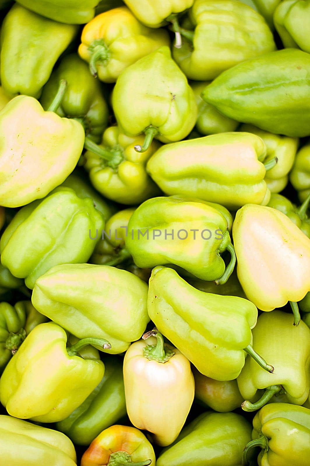 selected sweet peppers on the market. High quality photo