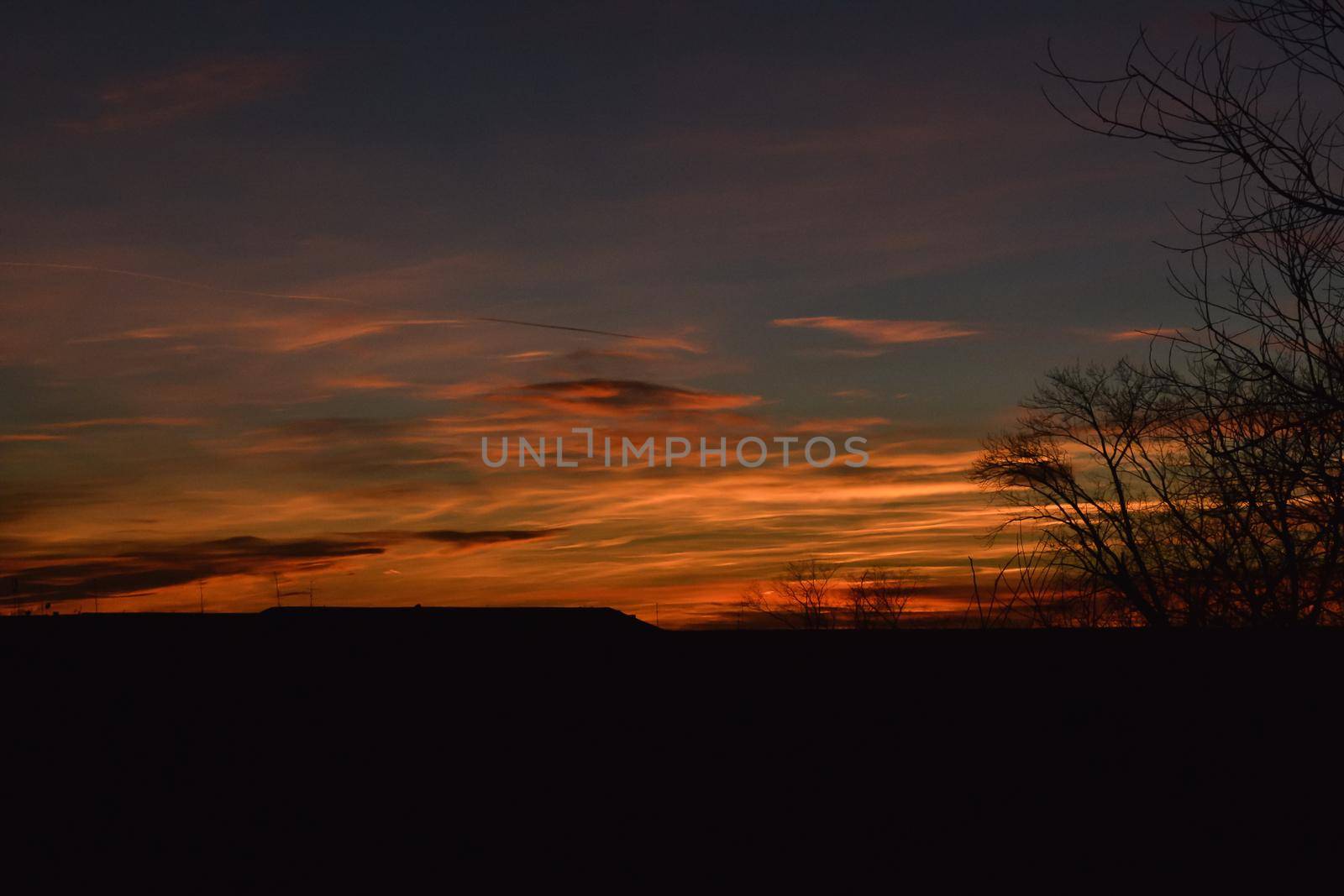 Clouds and late evening sunset over house roof silhouette and tree branches silhouettes by ProjectStockman