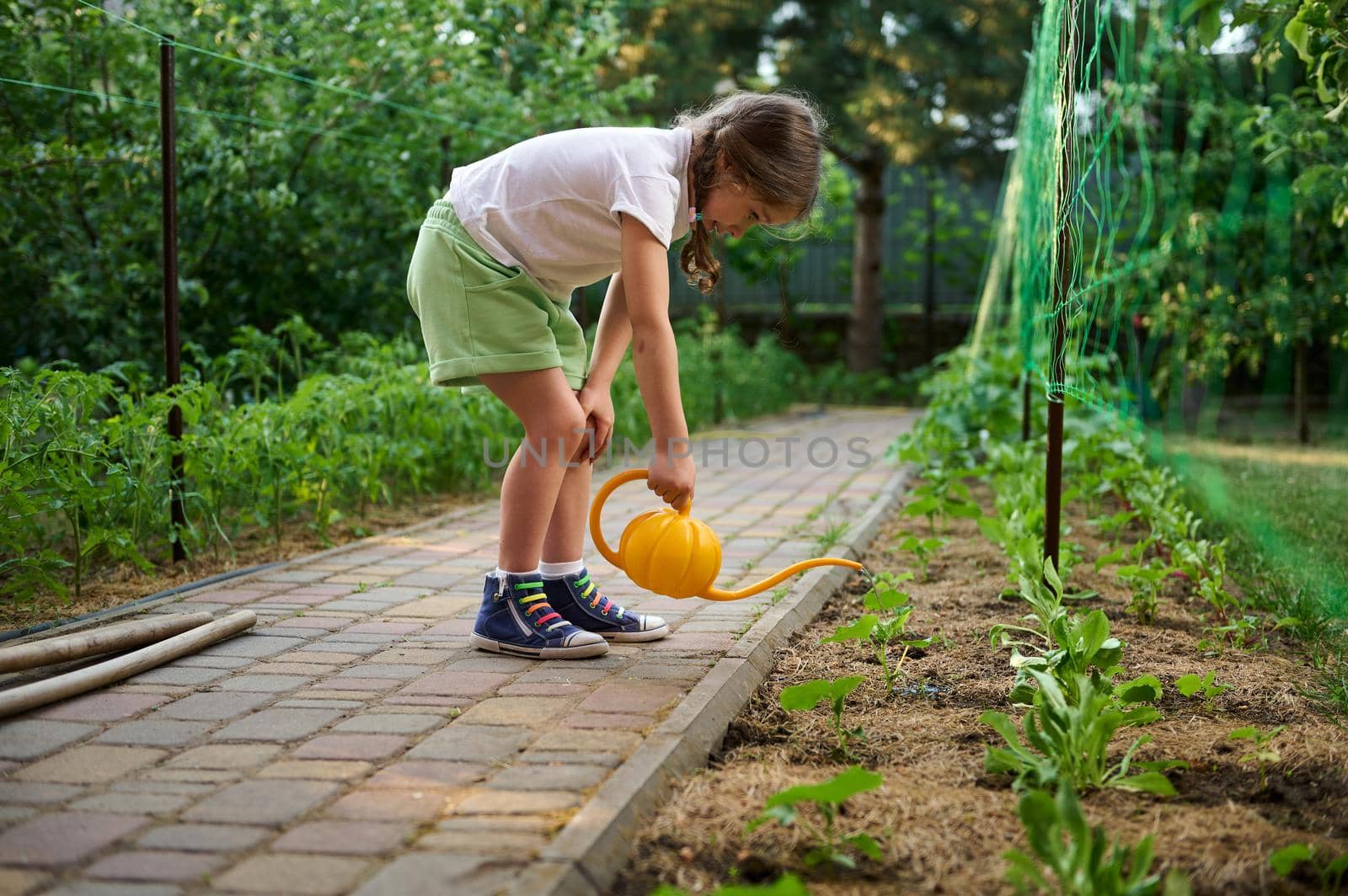 Inquisitive cute child, little girl using watering can, waters planted seedlings in the flowerbed in the countryside cottage backyard. Love and care nature since childhood. Learning of plants growing