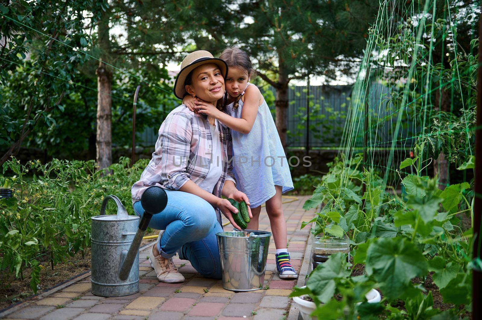 Cute little girl, loving daughter hugging her mother while standing together near the cultivated cucumber seedlings and picking ripe vegetables in the country house eco garden.