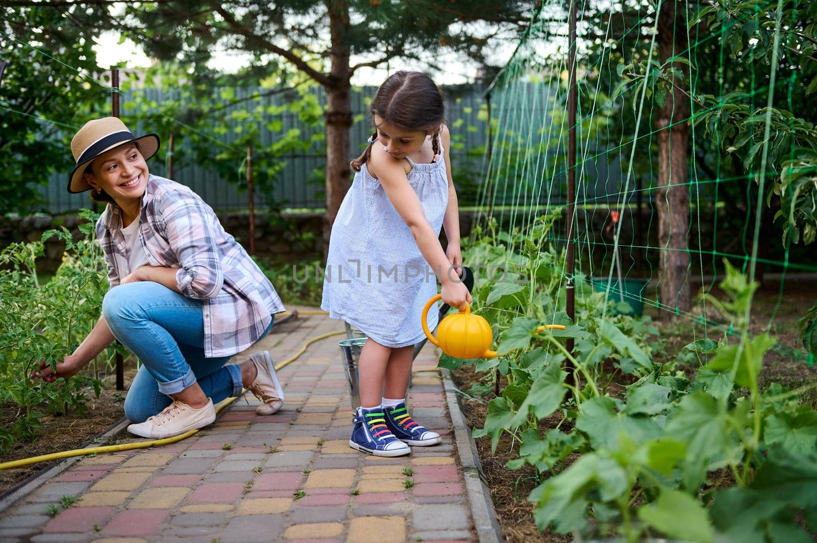 Charming Caucasian young woman and her lovely daughter work together in the family ecological vegetable garden. Beautiful baby girl watering cultivated organic vegetables. Agribusiness, horticulture