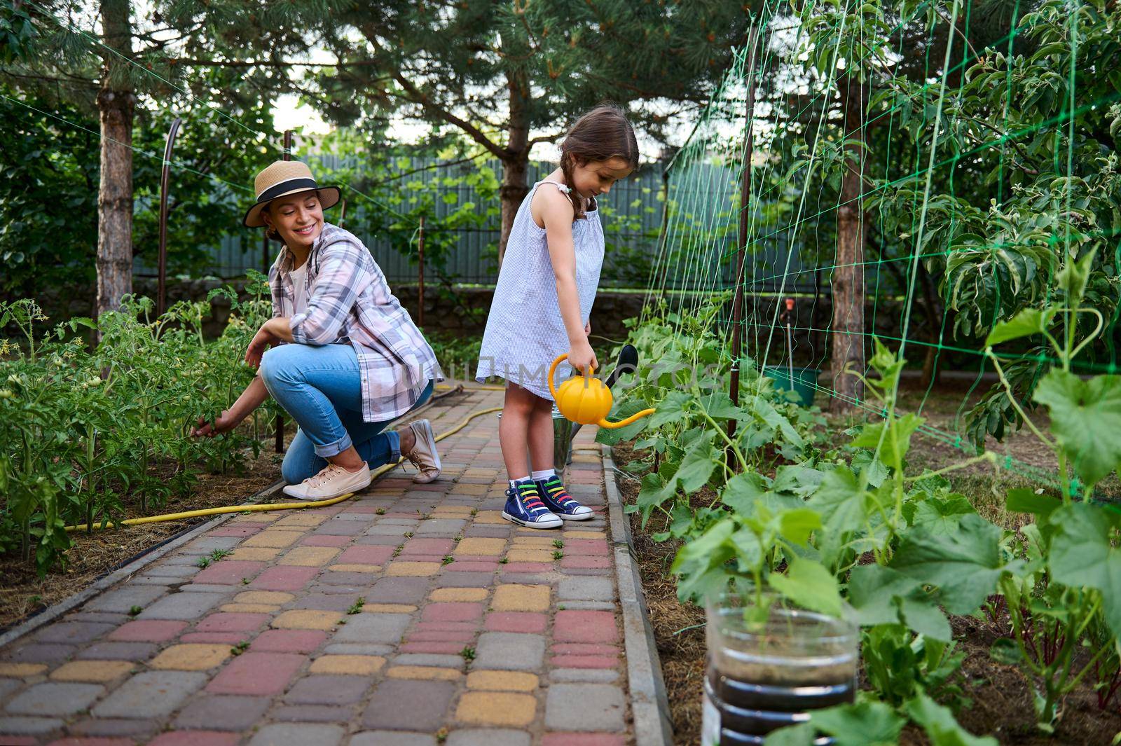 Mom and daughter are gardening at the family eco-farm. Raise love and care for nature and the planet from childhood. Cute little girl watering cucumbers in a flower bed, helping her mom in farming
