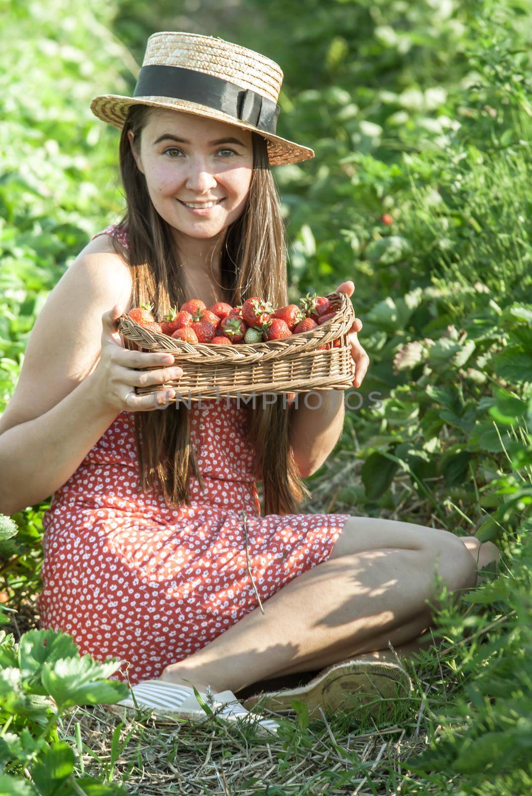 girl in strawberrry field with basket of fresh picked fruits