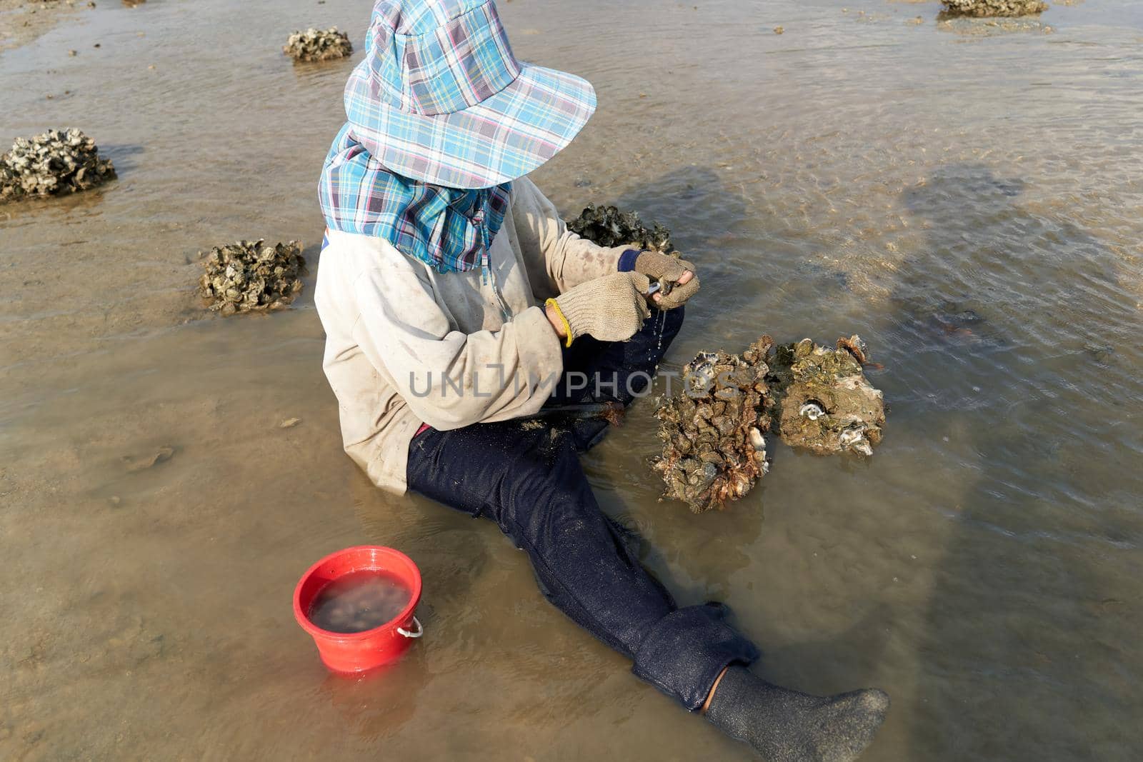 Ko Phangan, Thailand, March 15, 2022: by WesternExoticStockers