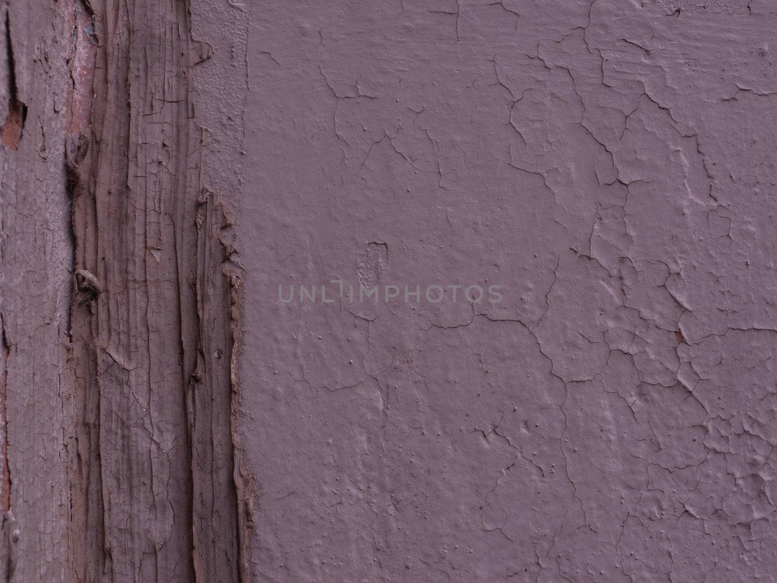 Old damaged plaster texture on wall.. Lilac wall in close-up.