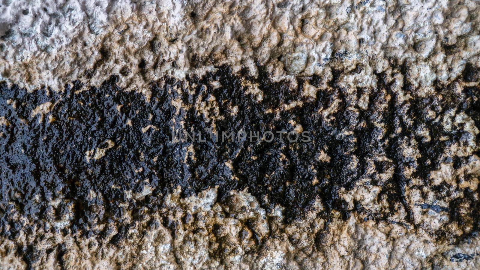 Abstract Background of dirty, wet, moldy concrete wall. Free space for design.