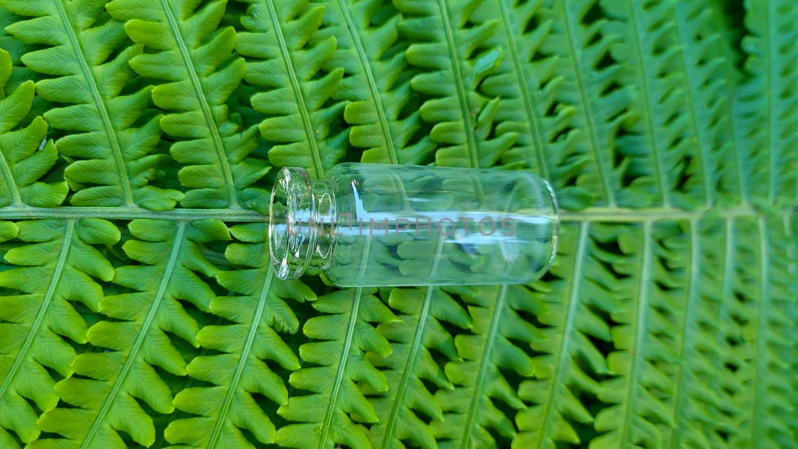 An empty bottle on the background of a green fern leaf. Glass container for cosmetic skin care products.
