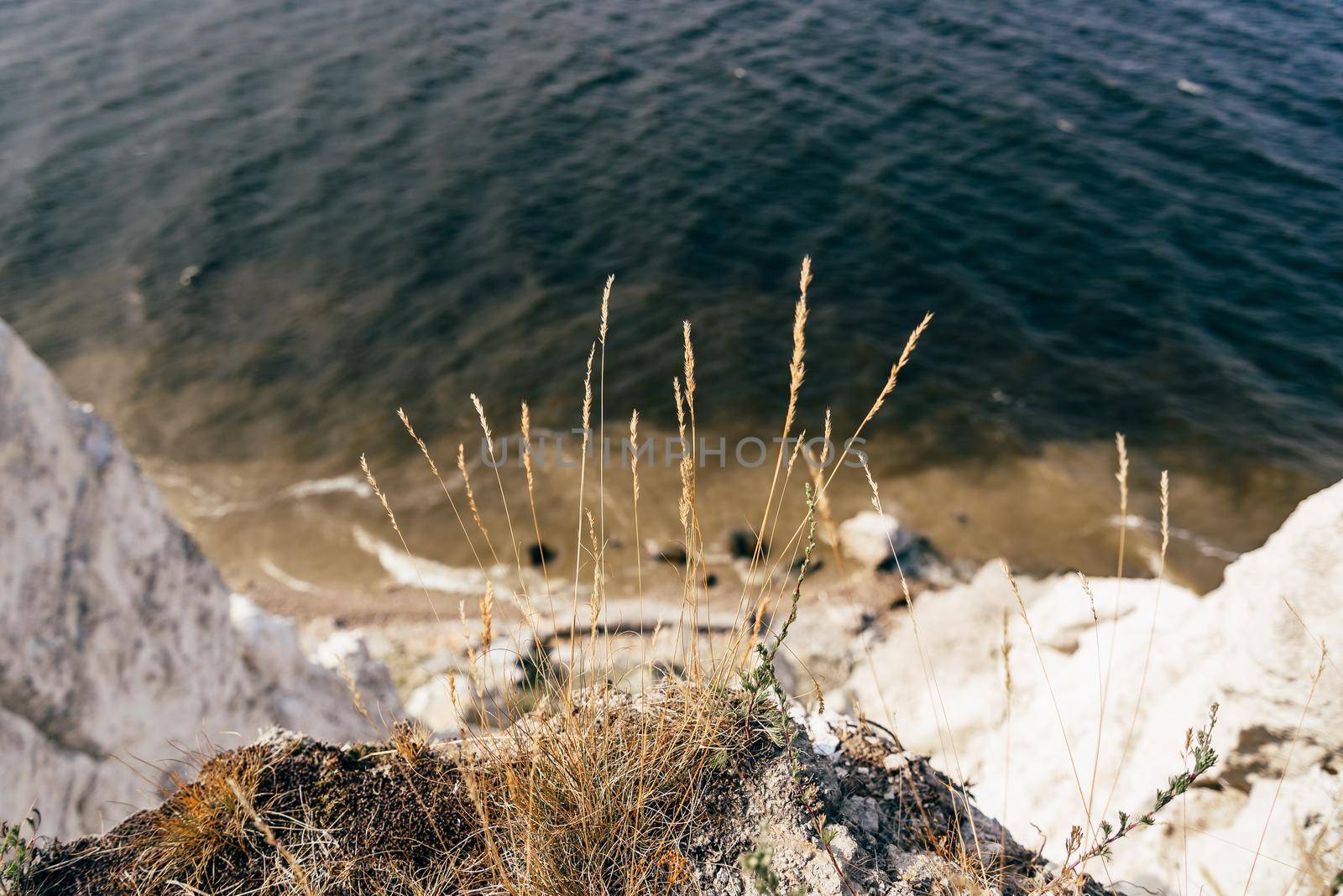 Grass on the edge of cliff. Selective focus