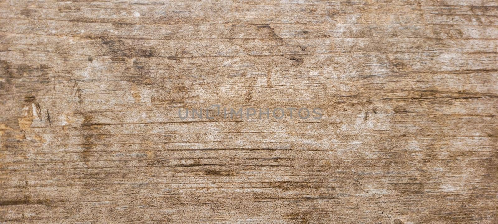 rustic dark background with gray burnt cement floor texture by sarsa